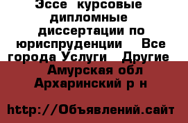 Эссе, курсовые, дипломные, диссертации по юриспруденции! - Все города Услуги » Другие   . Амурская обл.,Архаринский р-н